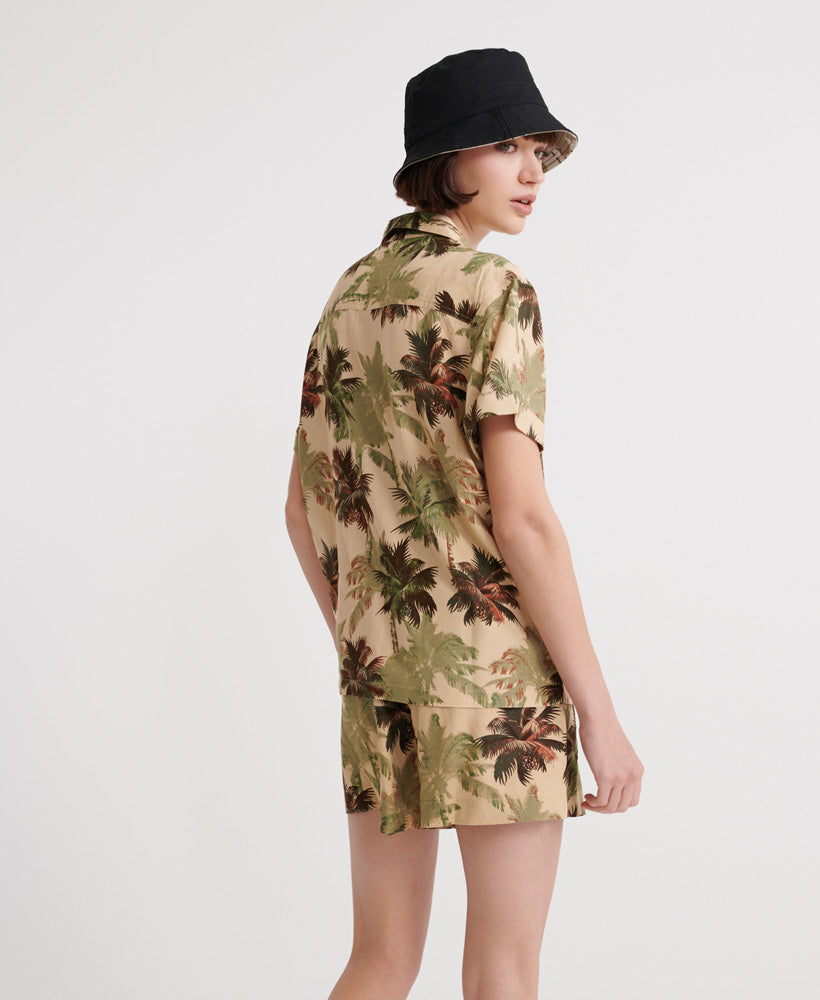 Brown Palm
