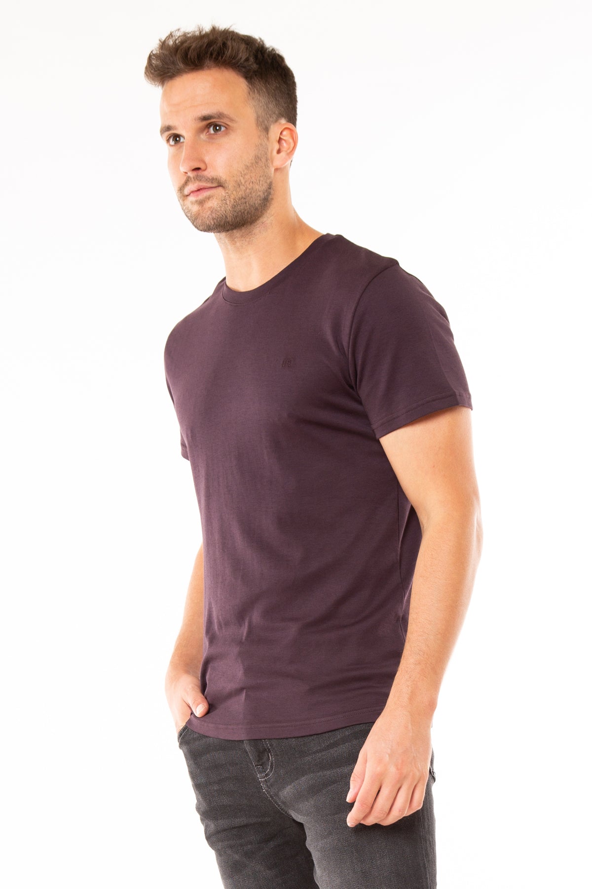 Superdry Mens Edit Jersey T-Shirt mulled plum